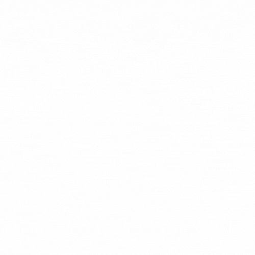 Gold plated Butterfly Necklace for Women